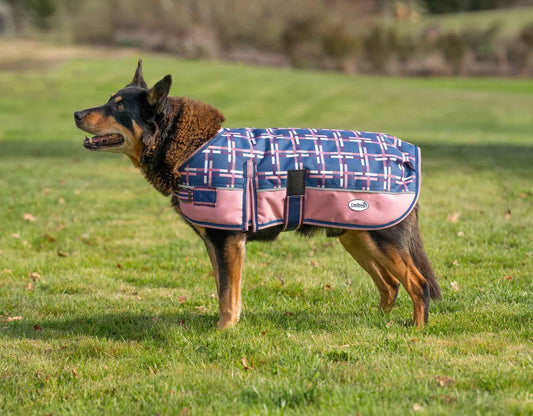 Caribu Alpine Dog Coat