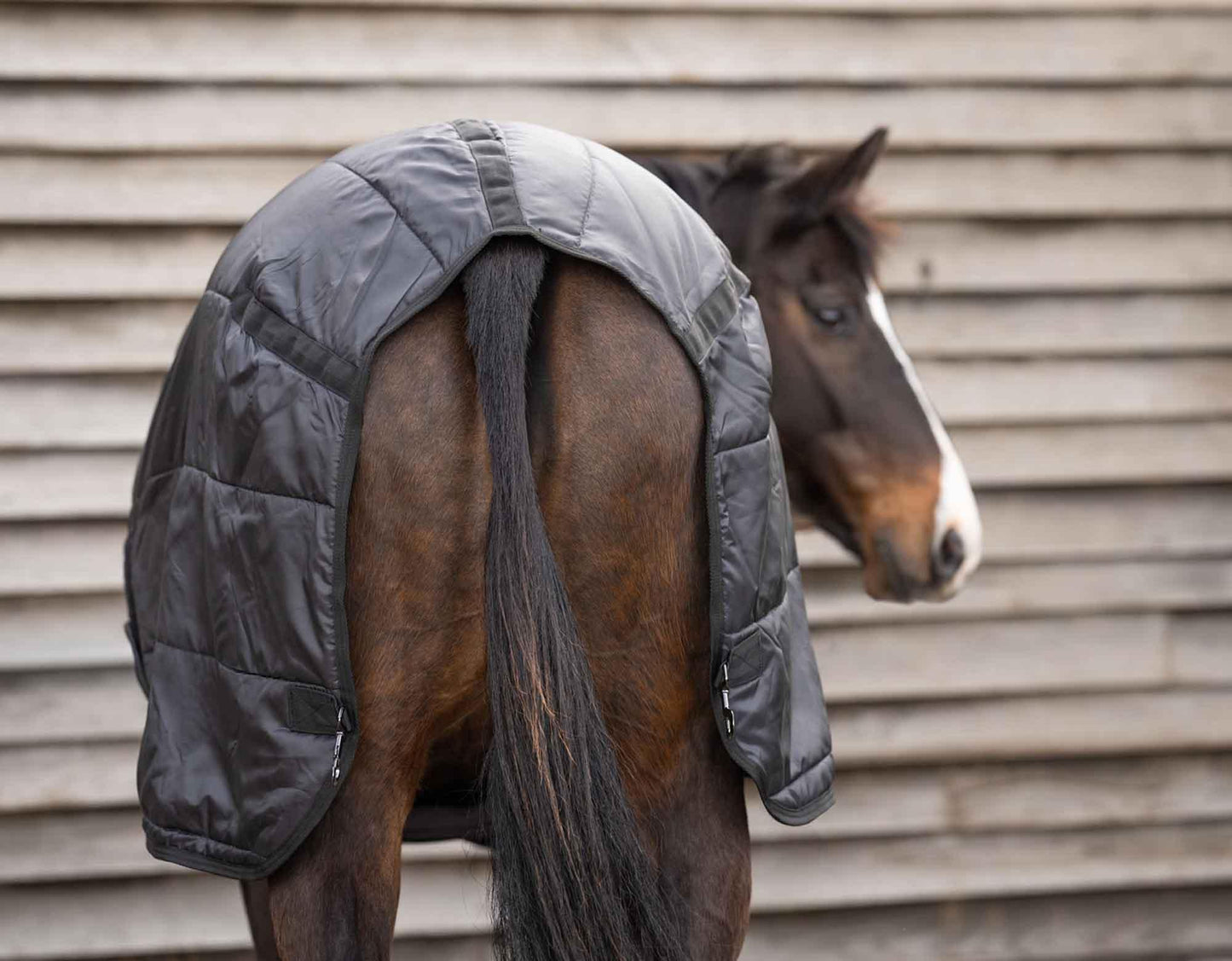 Caribu Horse Rug Liner 100g