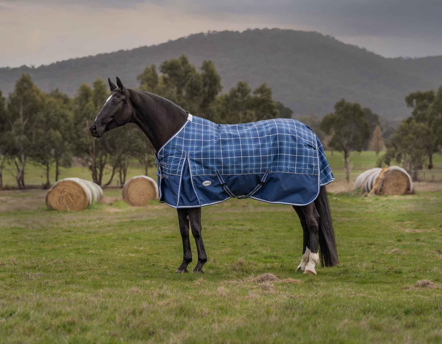 Caribu Alpine Horse Rug 200g Classic Tartan