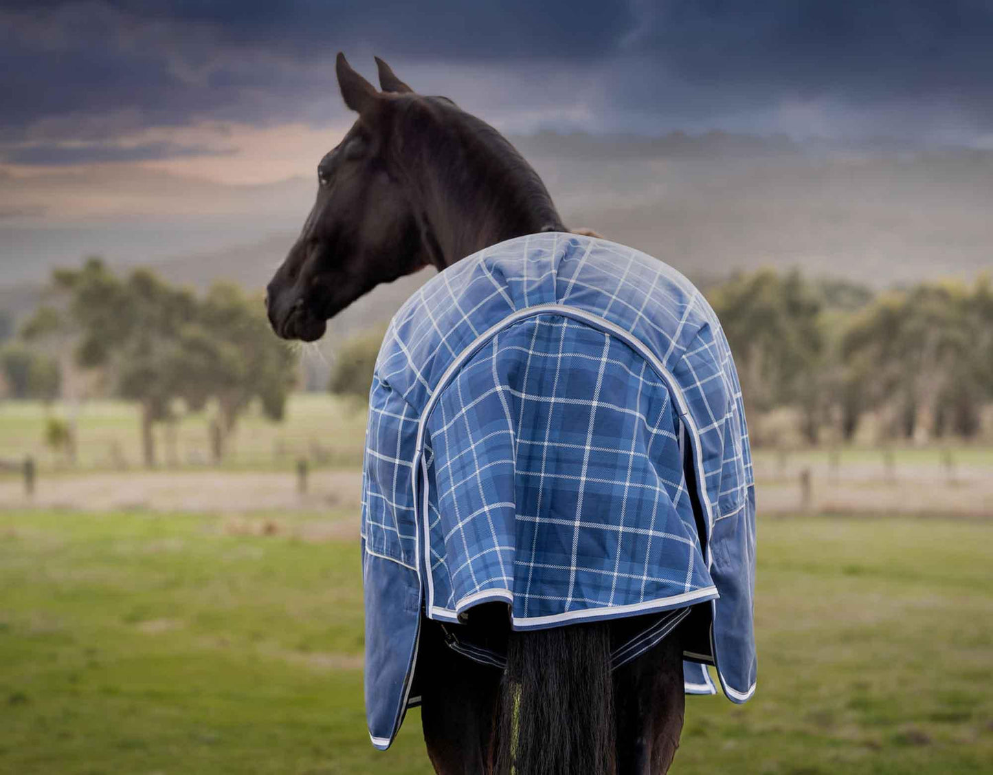 Caribu Alpine Horse Rug 200g Classic Tartan