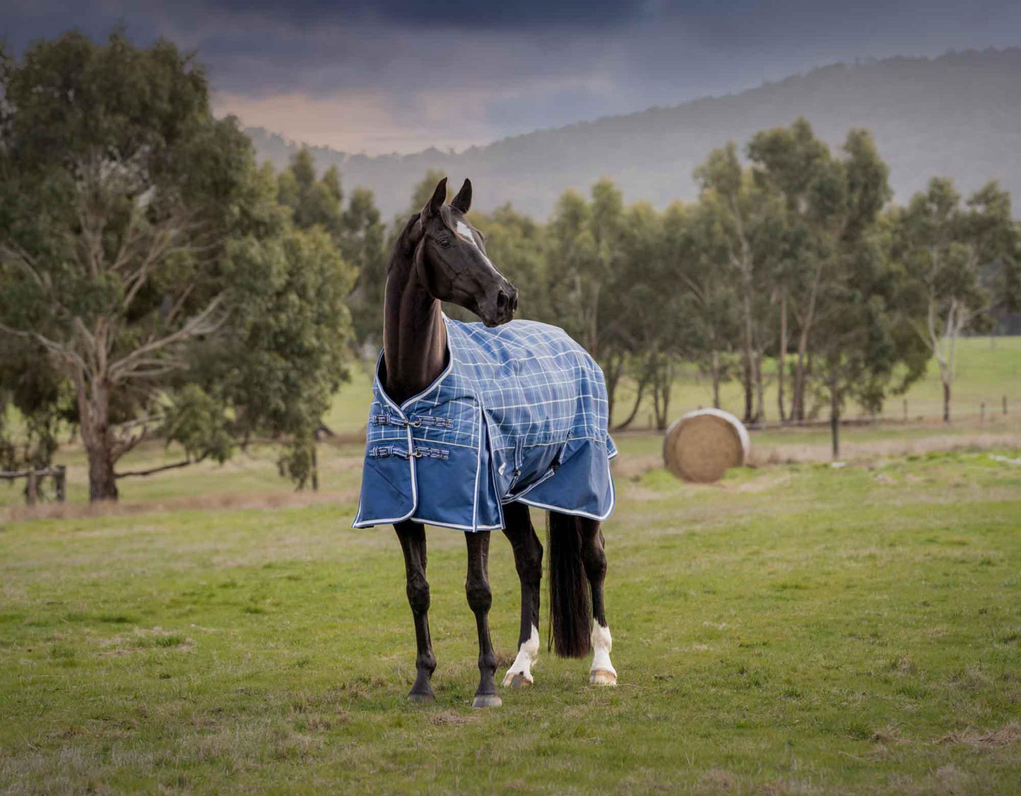 Caribu Alpine Horse Rug 200g Classic Tartan