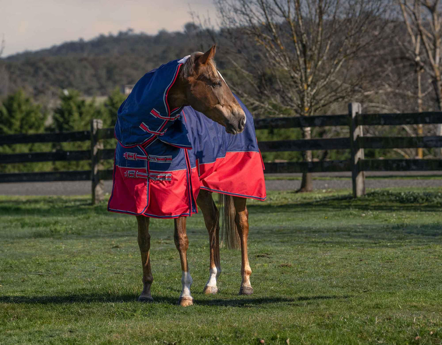 Caribu Alpine Detach-a-Neck Horse Rug 250g Navy Red