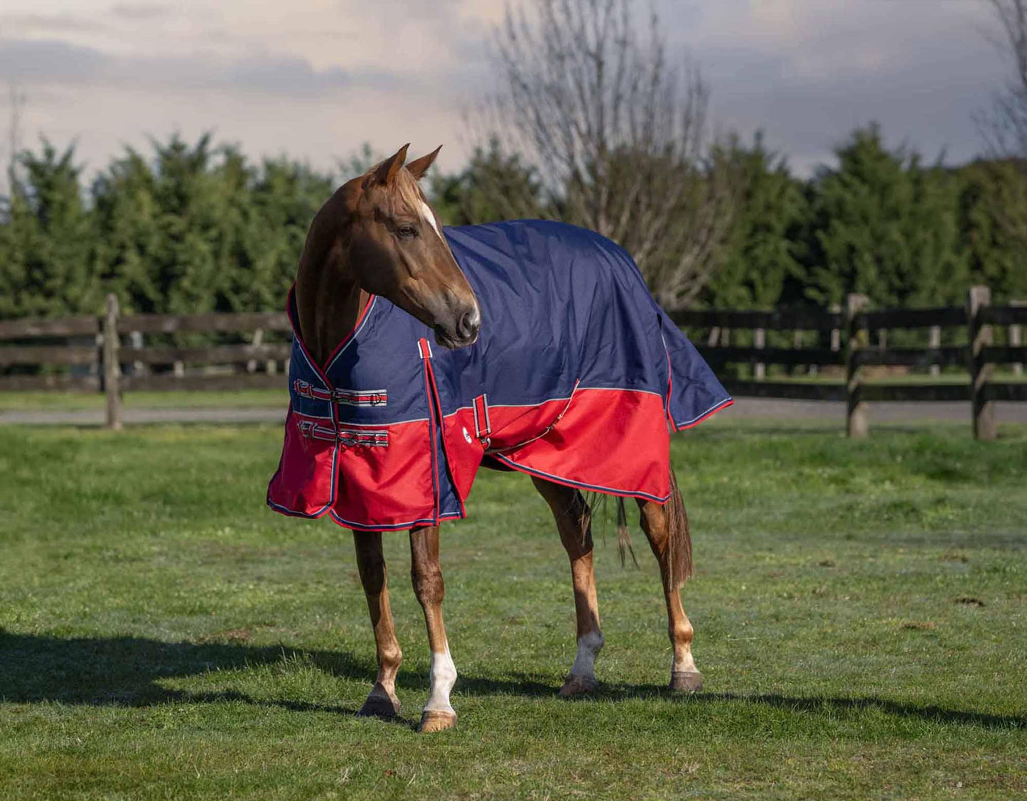 Caribu Alpine Detach-a-Neck Horse Rug 250g Navy Red
