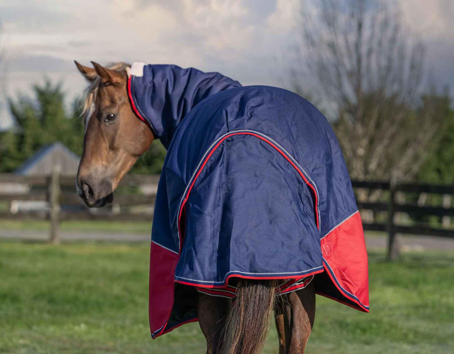 Caribu Alpine Detach-a-Neck Horse Rug 250g Navy Red