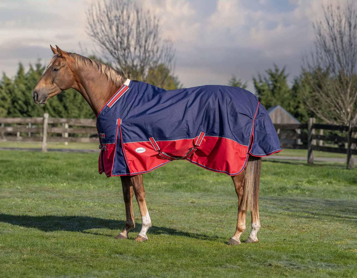 Caribu Eclipse XL Gusset Detach-a-Neck Horse Rainsheet Navy Red