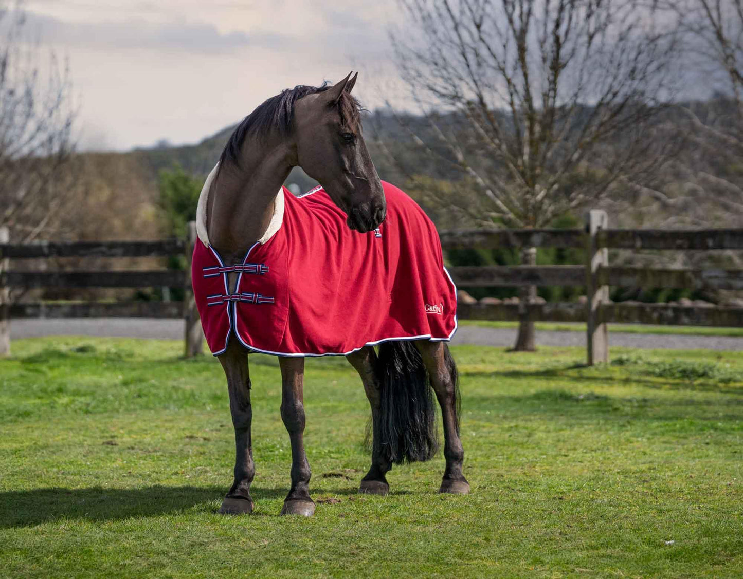 Caribu Deluxe Polar Fleece Horse Rug