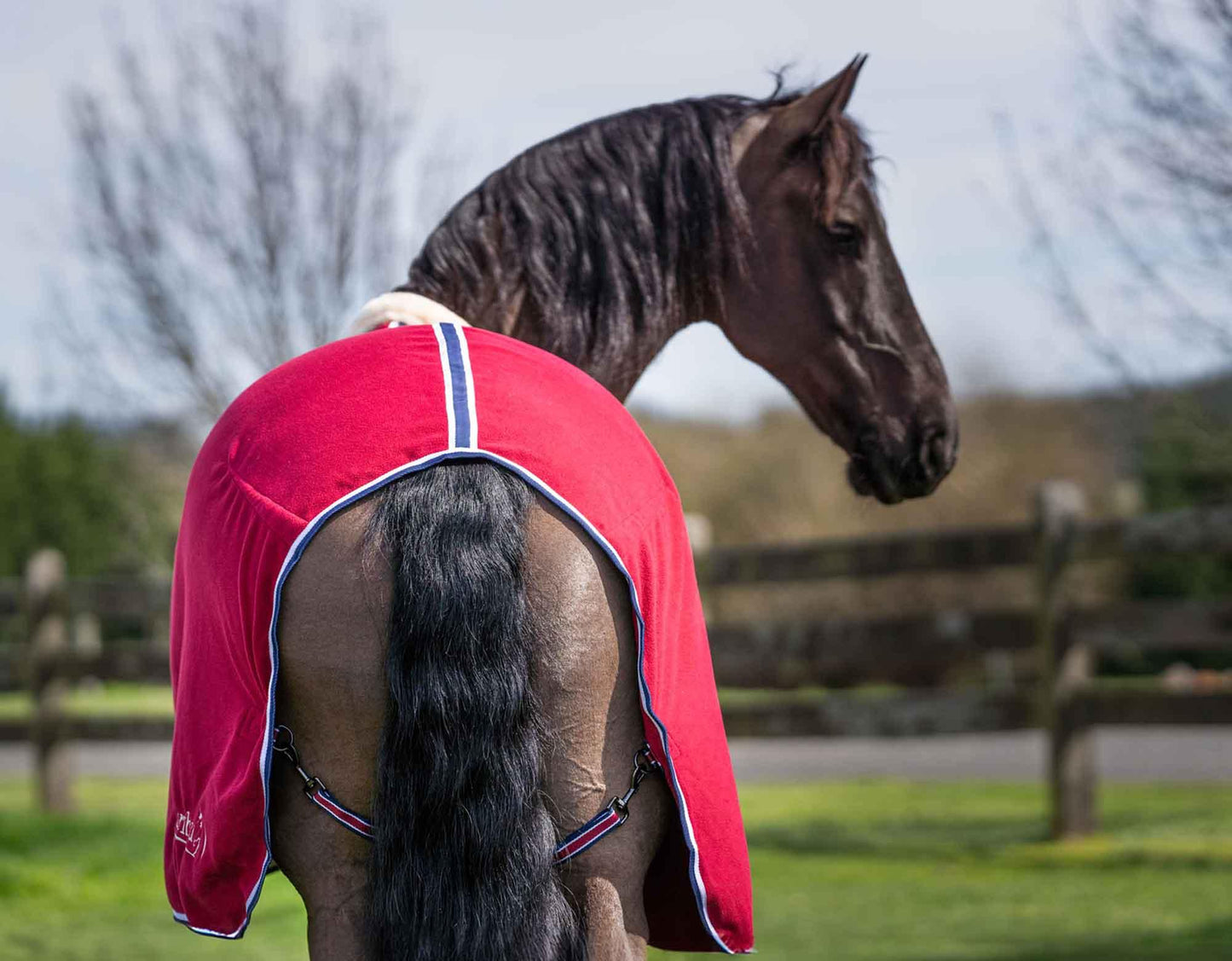 Caribu Deluxe Polar Fleece Horse Rug