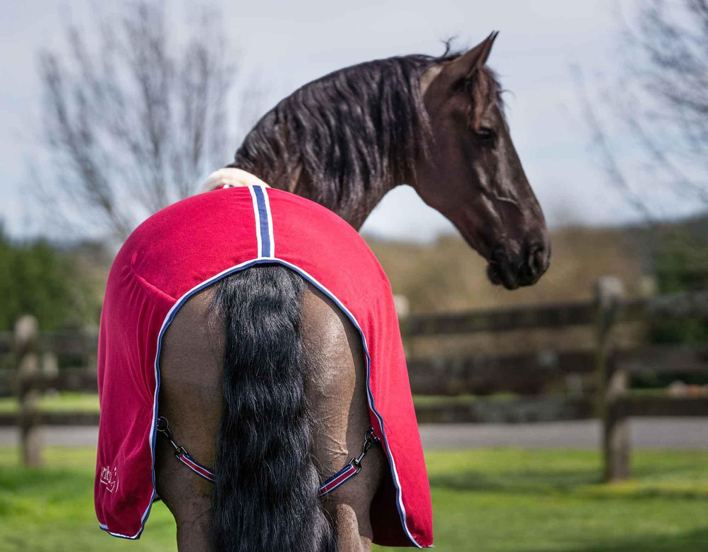 Caribu Deluxe Polar Fleece Horse Rug