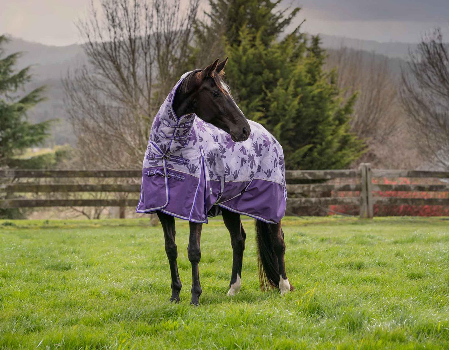 Caribu Alpine Combo Horse Rug 200g Orchid Spray