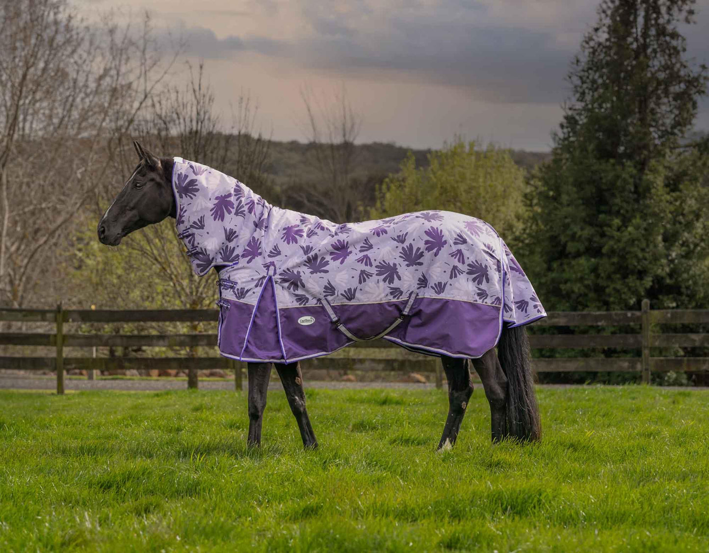Caribu Alpine Combo Horse Rug 200g Orchid Spray