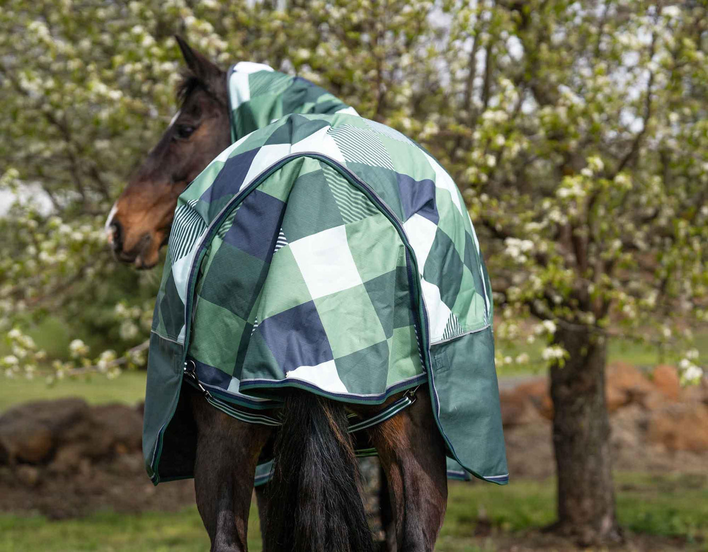 Caribu Alpine Combo Horse Rug 300g Forest Gem