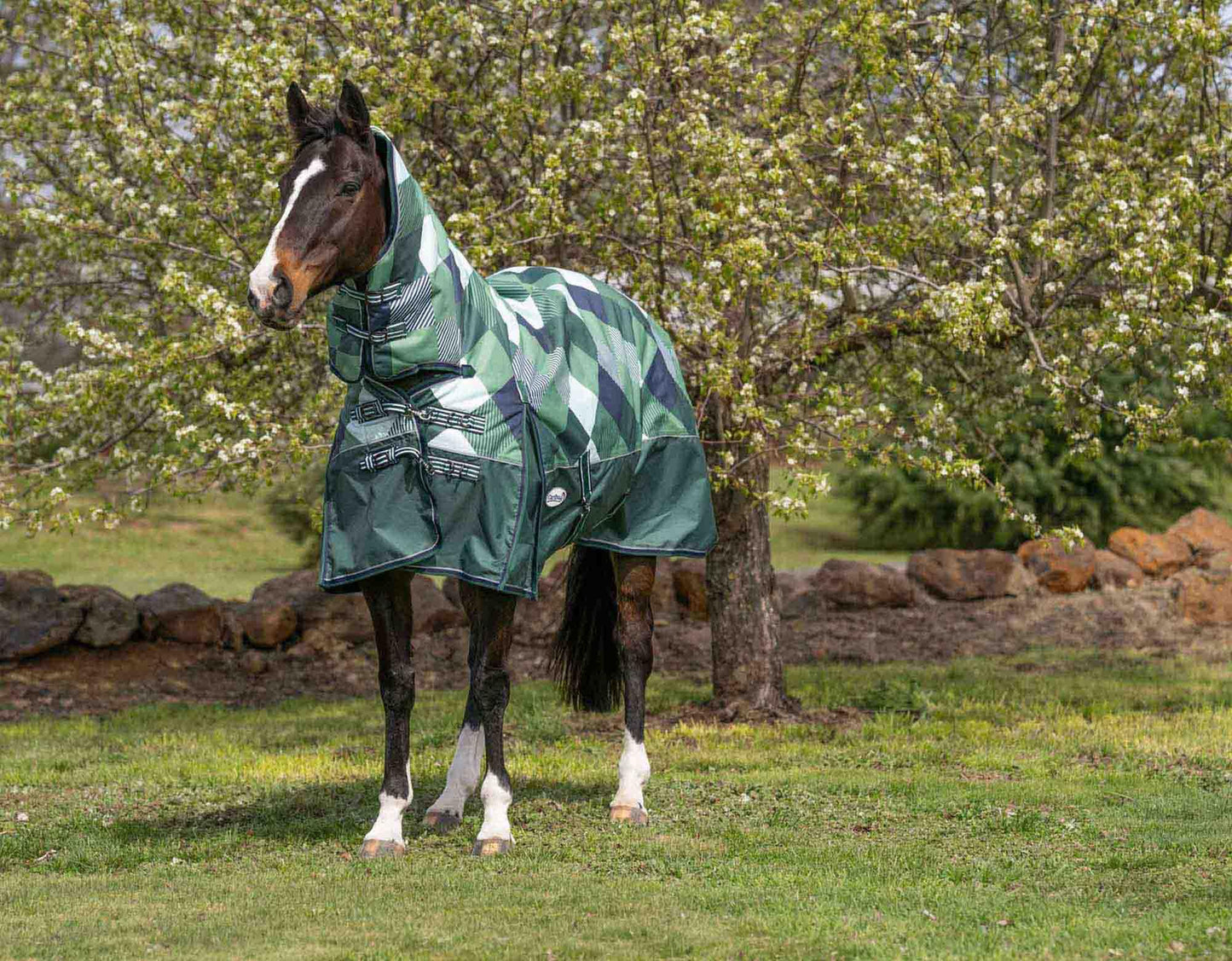 Caribu Alpine Combo Horse Rug 300g Forest Gem