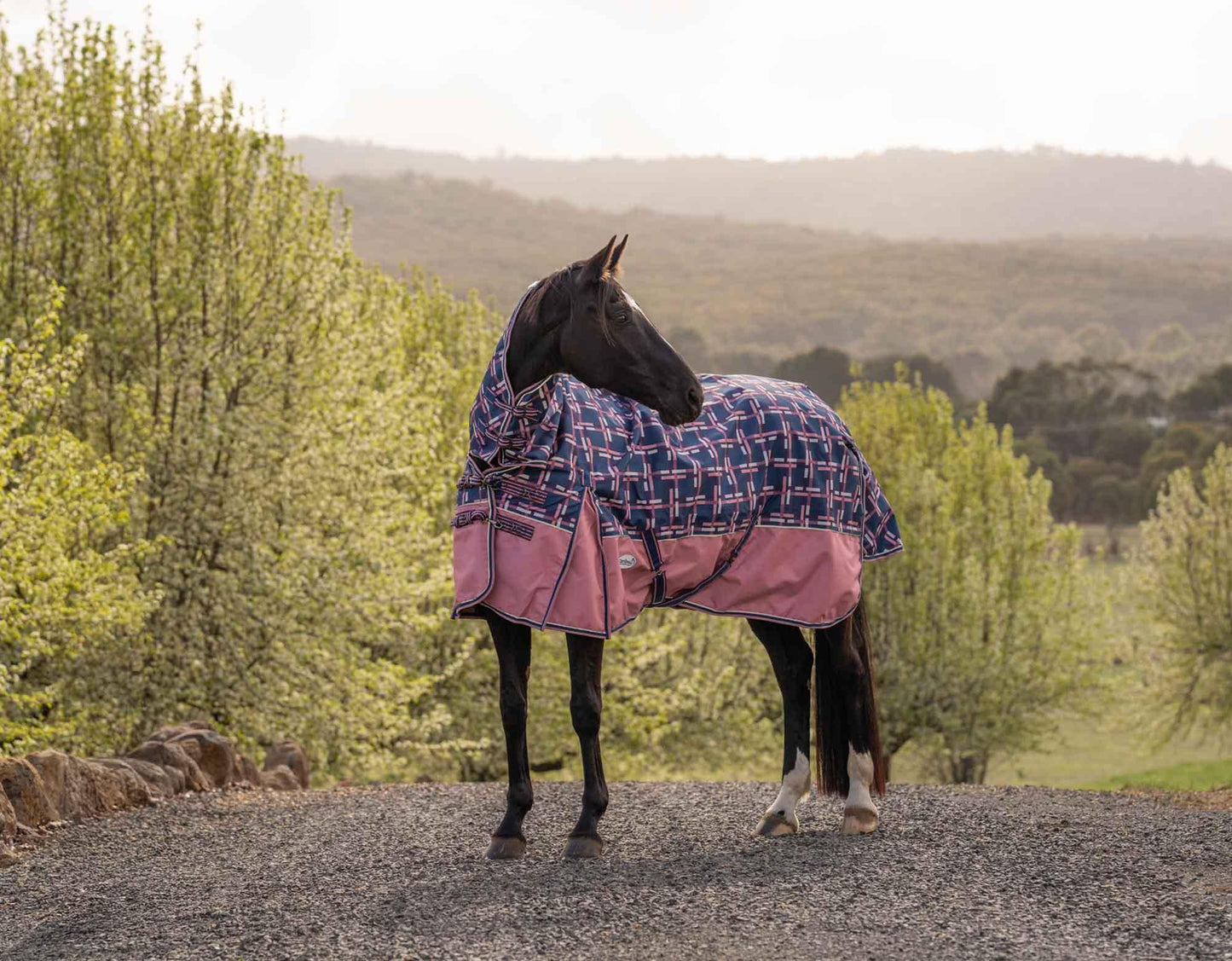 Caribu Eclipse Combo Horse Rainsheet Rose Check