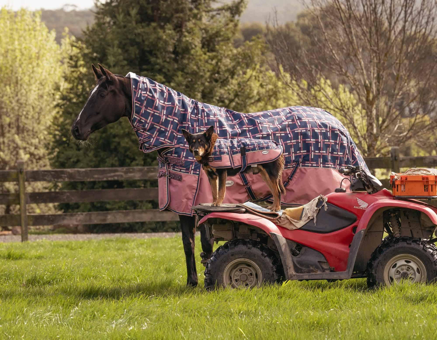Caribu Eclipse Combo Horse Rainsheet Rose Check