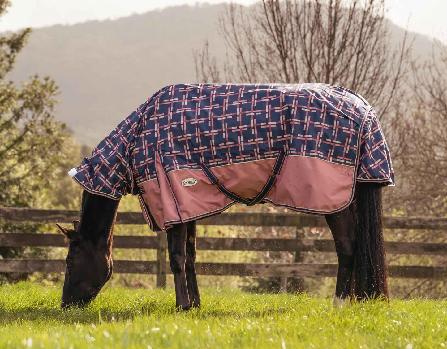 Caribu Eclipse Combo Horse Rainsheet Rose Check