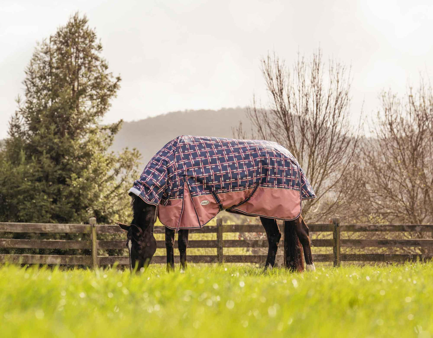 Caribu Eclipse Combo Horse Rainsheet Rose Check