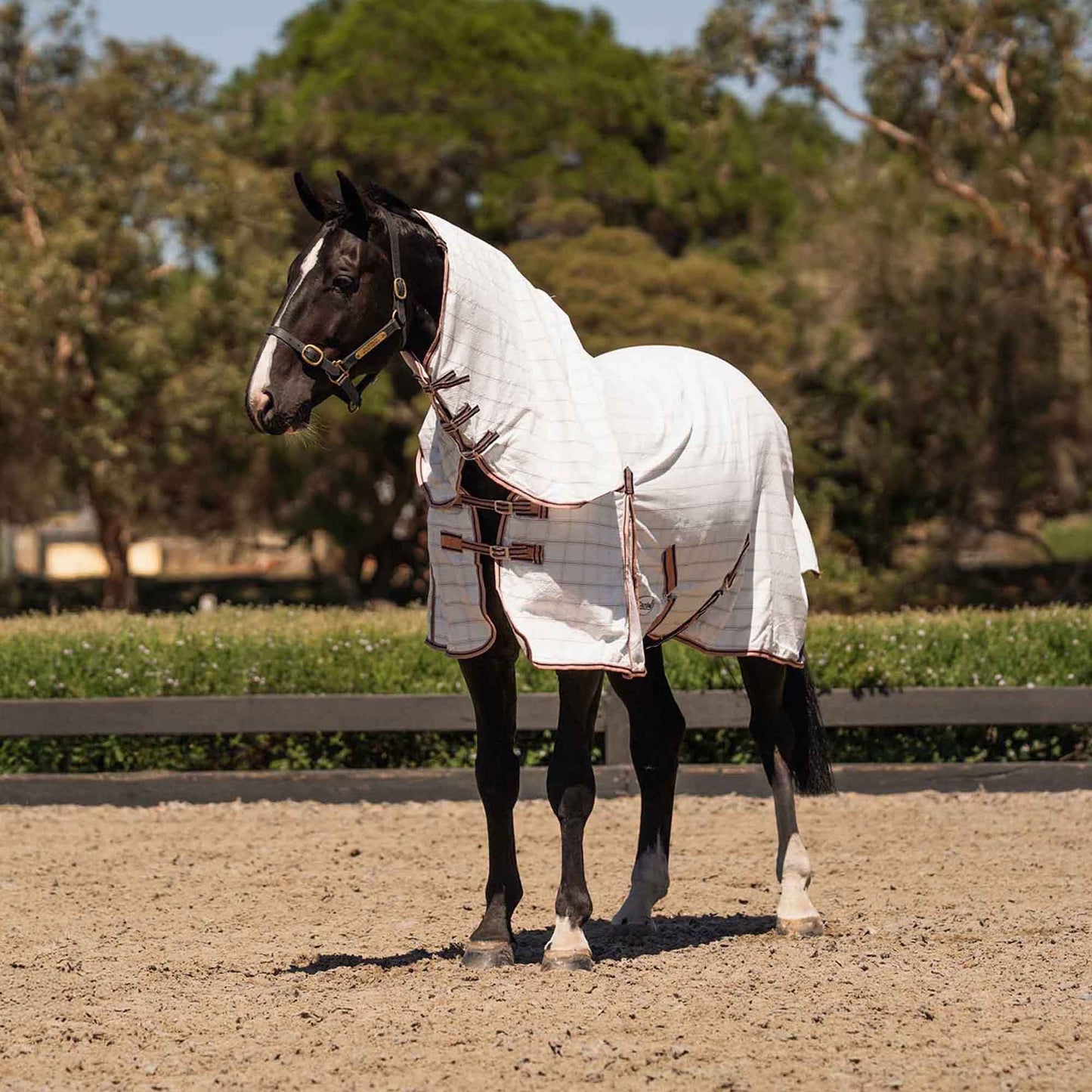 Caribu Ripstop Combo Horse Rug Blushed Ink