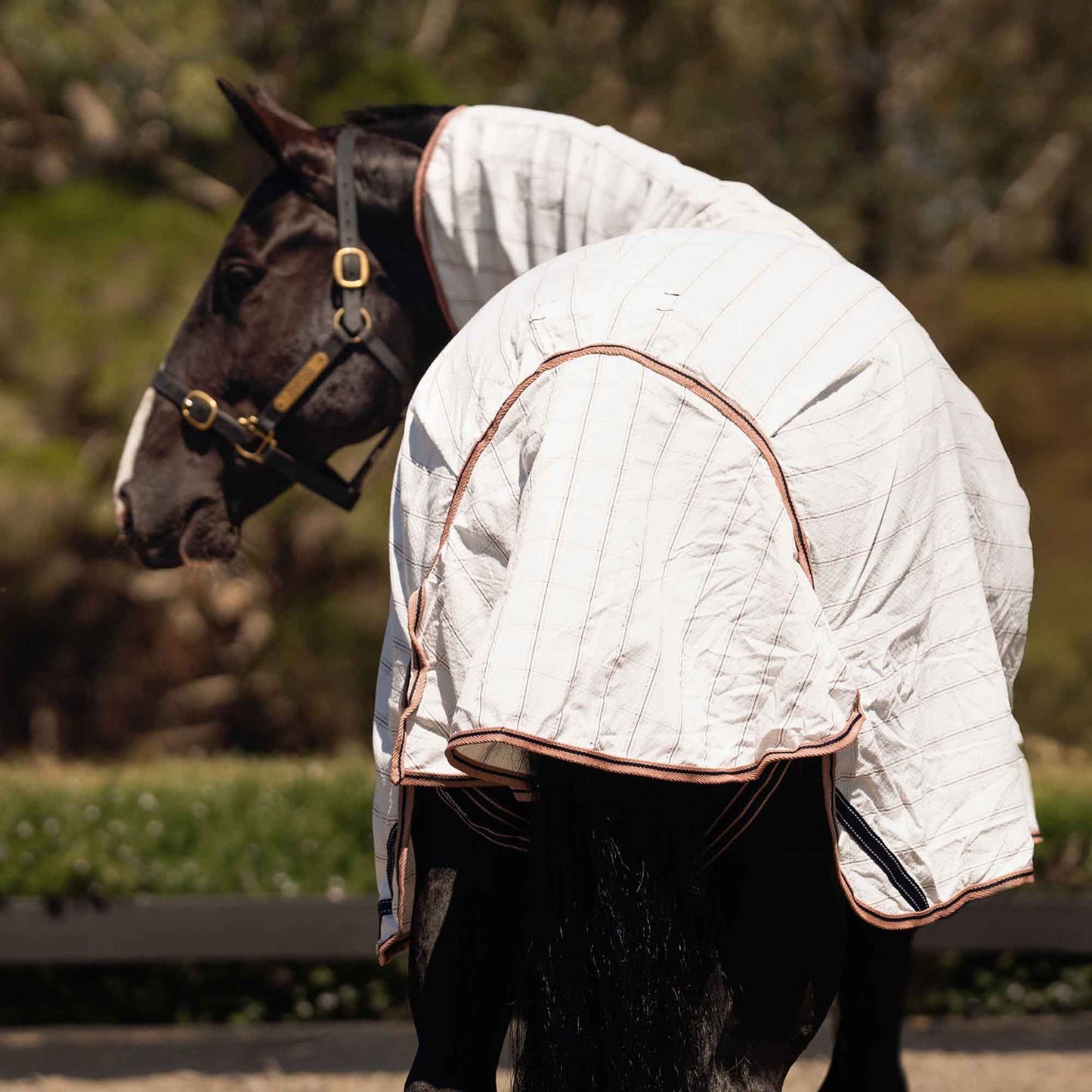 Caribu Ripstop Combo Horse Rug Blushed Ink
