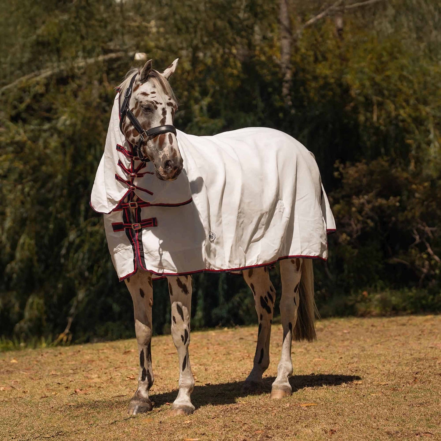 Caribu Navis Flag Combo Horse Rug Navy & Red