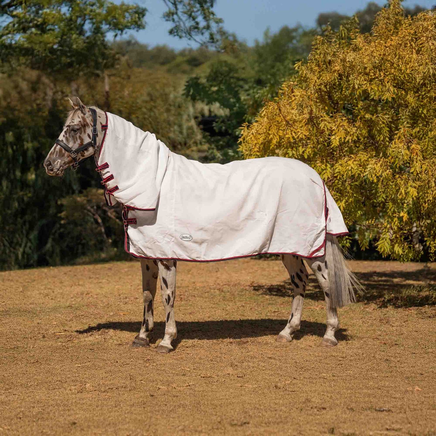 Caribu Navis Flag Combo Horse Rug Navy & Red
