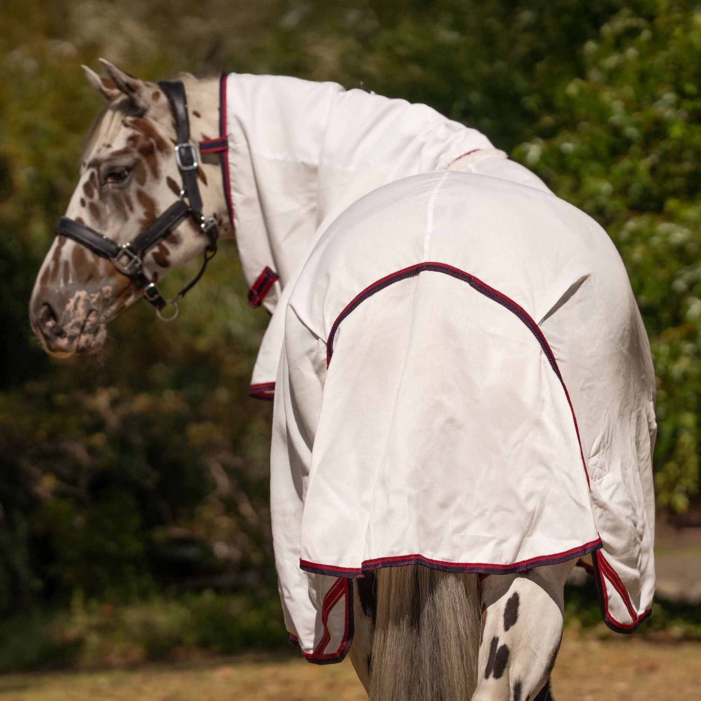 Caribu Navis Flag Combo Horse Rug Navy & Red