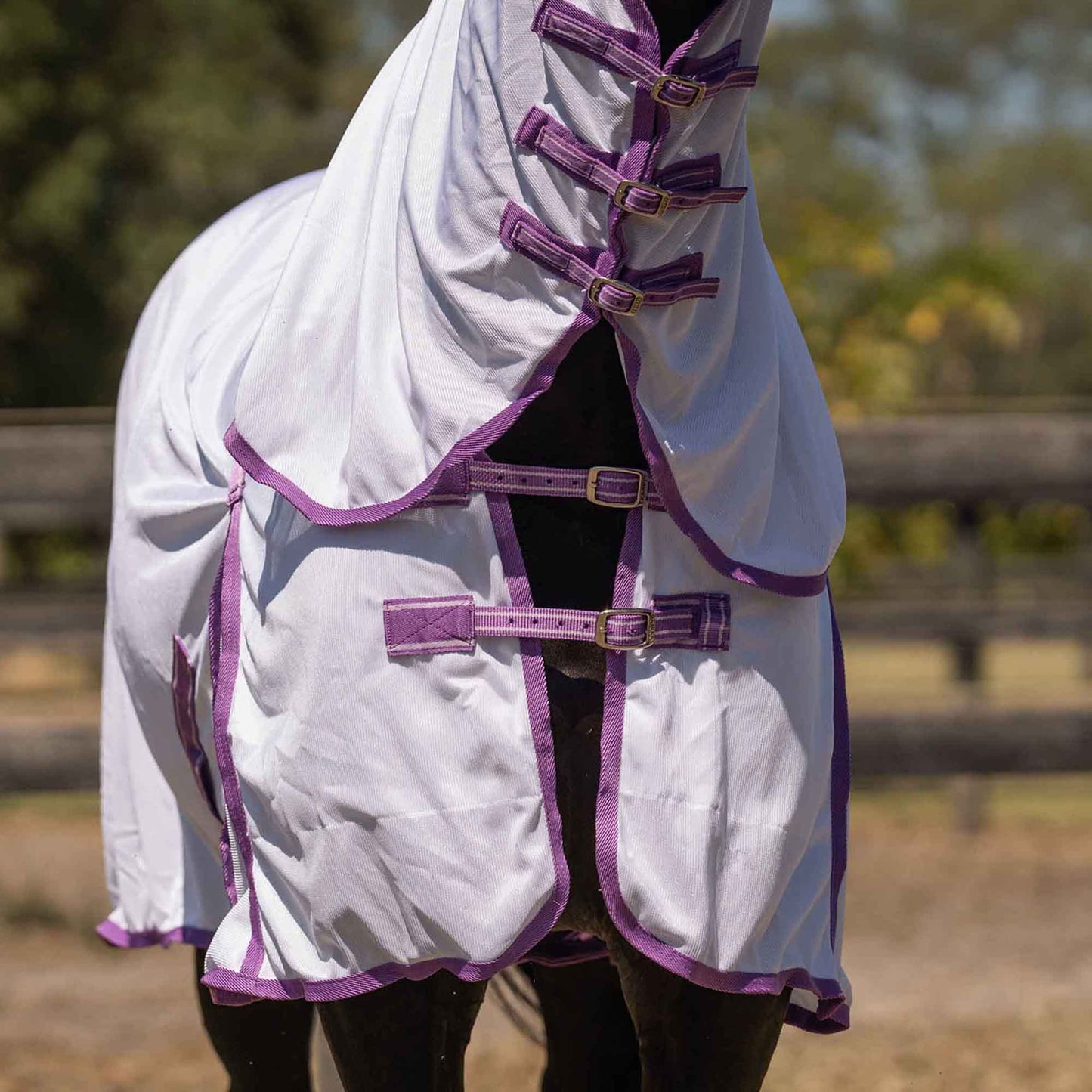 Caribu Euro Mesh Combo Horse Rug Violet & Lilac