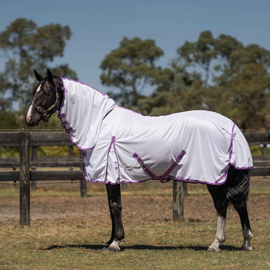 Caribu Euro Mesh Combo Horse Rug Violet & Lilac