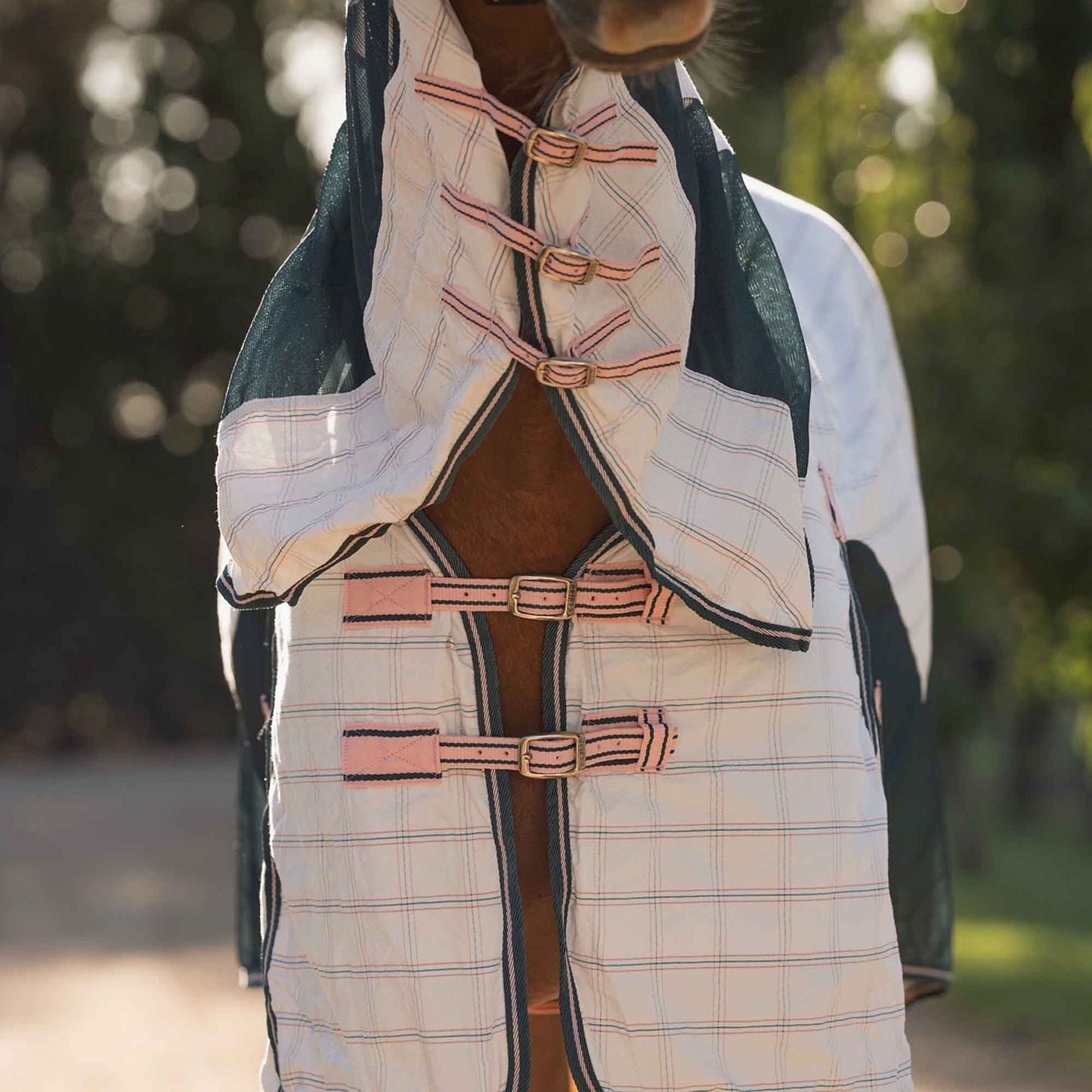 Caribu Atla Hybrid Combo Horse Rug Spruce Peach