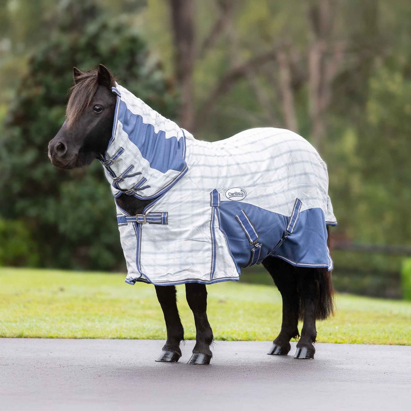 Caribu Mini Atla Hybrid Combo Horse Rug