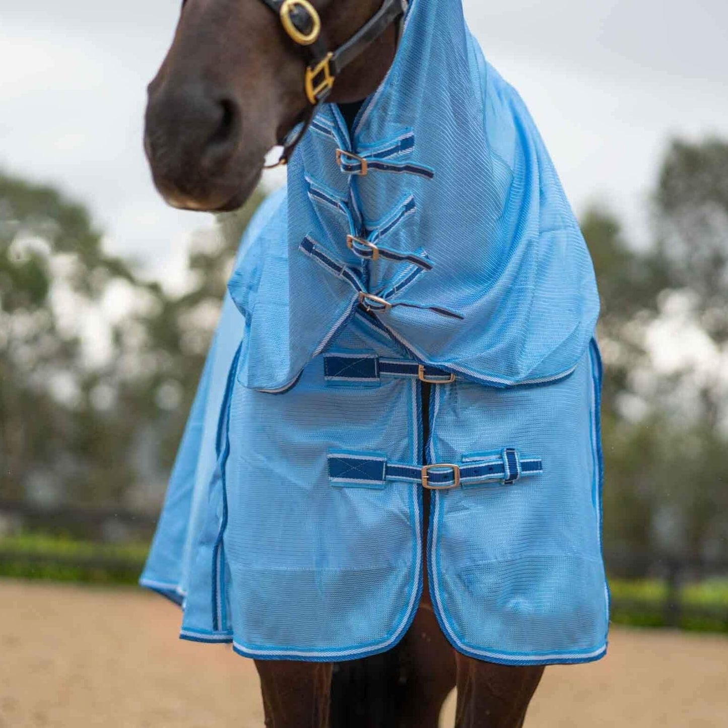Kingsley Mesh Combo Horse Rug