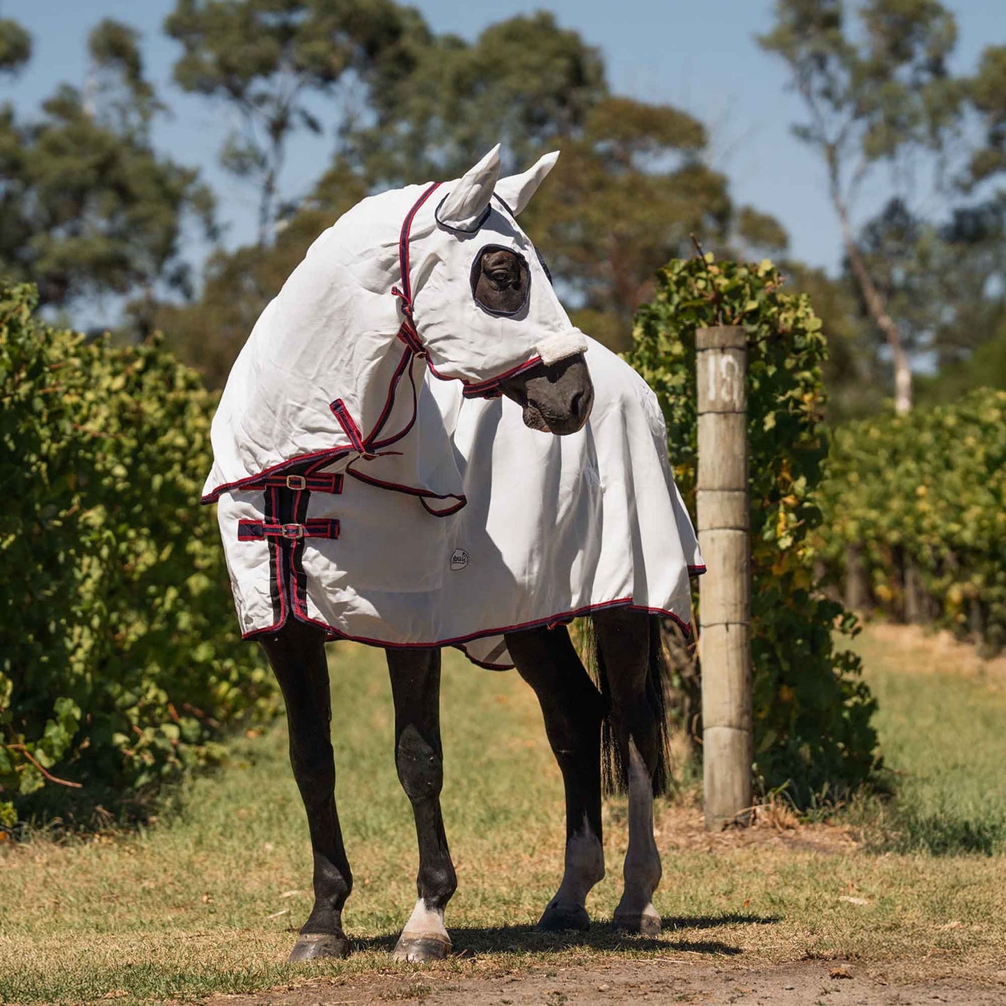 Caribu Navis Flag Hooded Combo Horse Rug Navy & Red