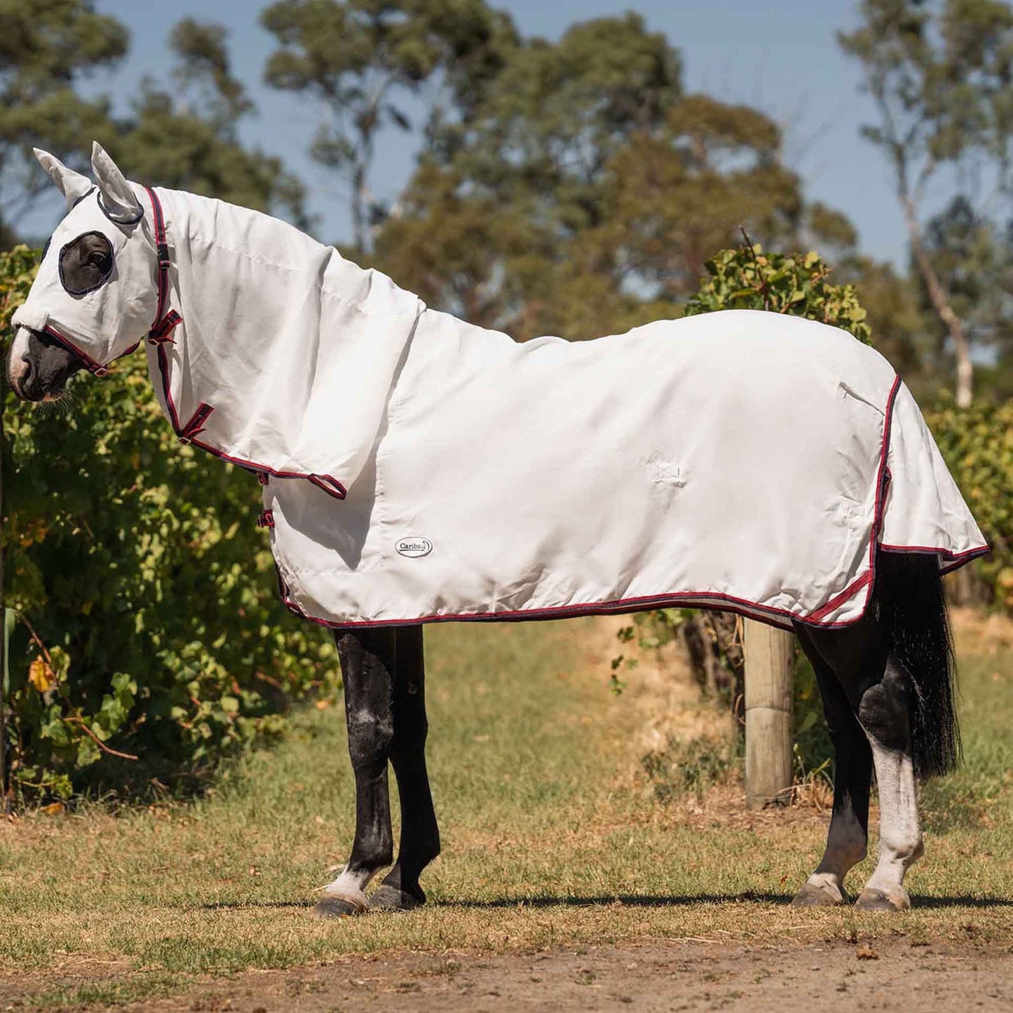 Caribu Navis Flag Hooded Combo Horse Rug Navy & Red