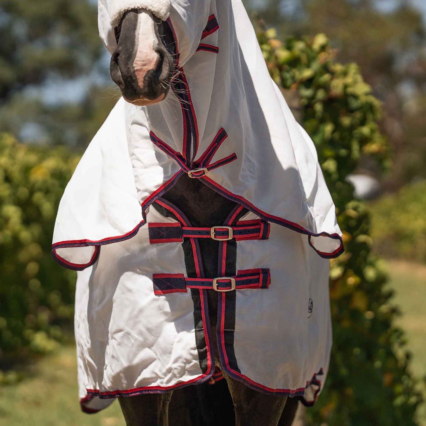 Caribu Navis Flag Hooded Combo Horse Rug Navy & Red