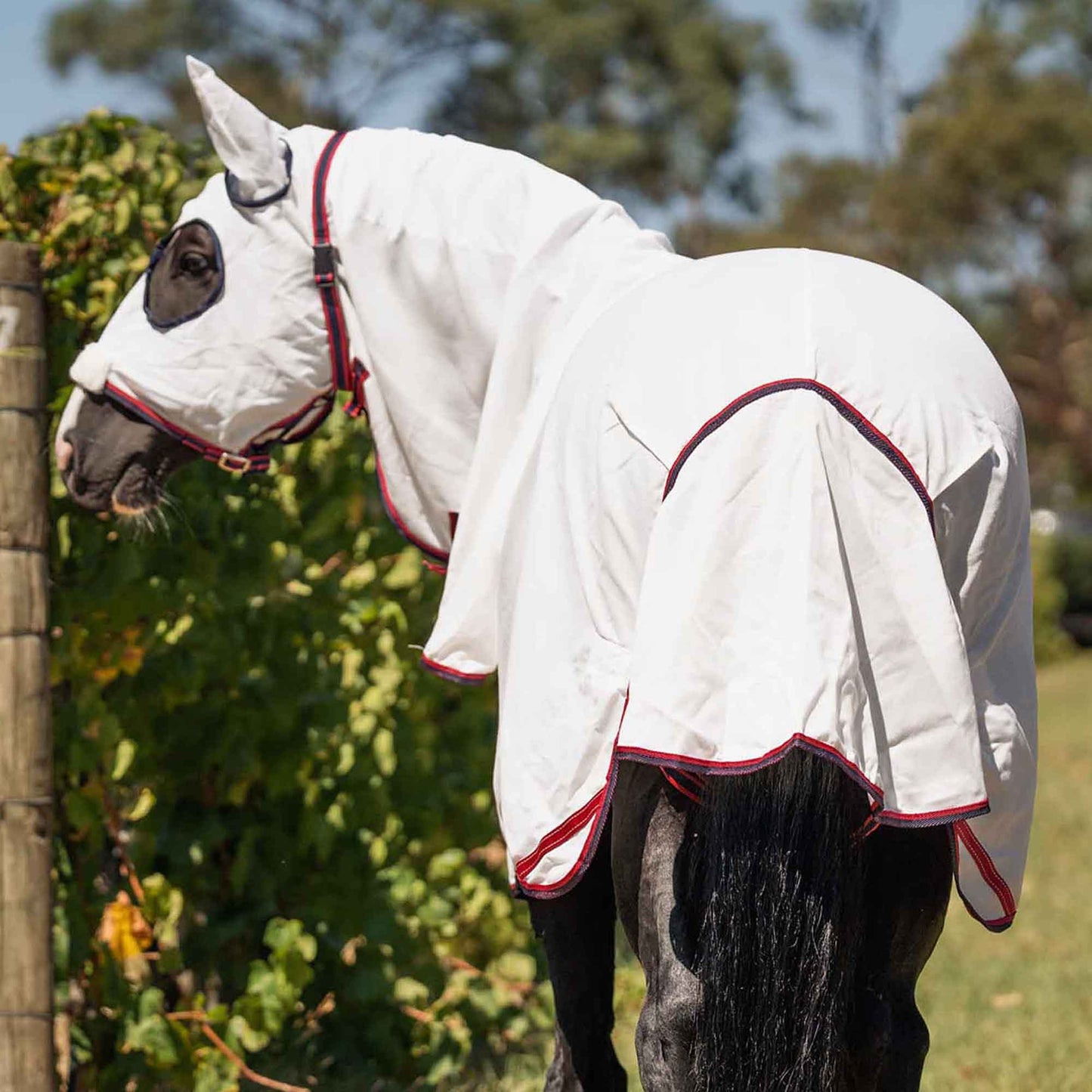 Caribu Navis Flag Hooded Combo Horse Rug Navy & Red