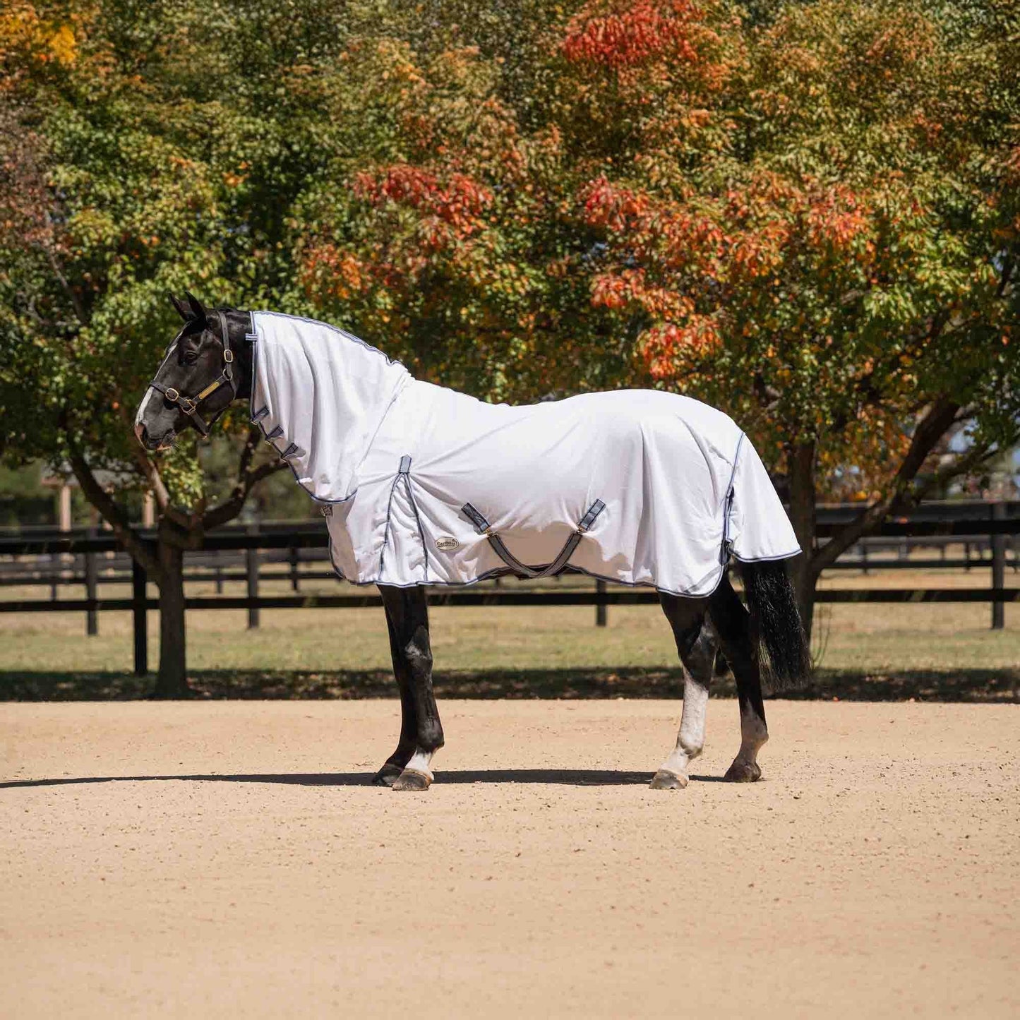 Caribu Enduro Mesh Combo Horse Rug Blue Fog