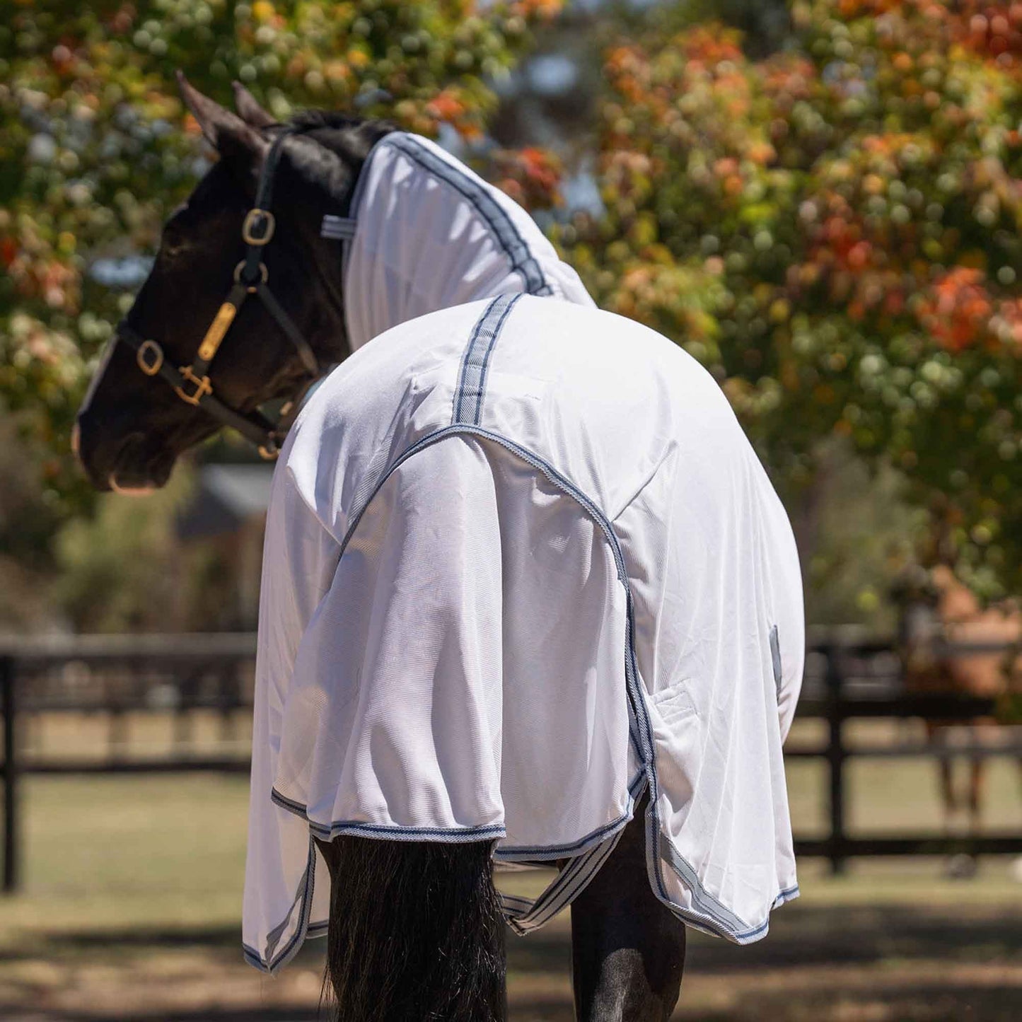 Caribu Enduro Mesh Combo Horse Rug Blue Fog