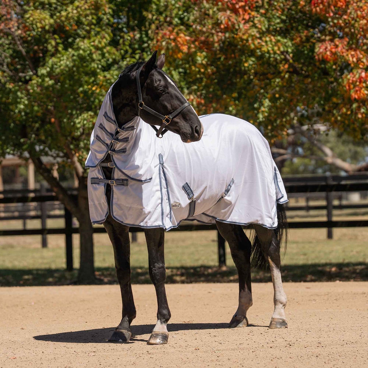 Caribu Enduro Mesh Combo Horse Rug Blue Fog