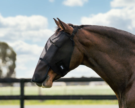 Caribu Standard Horse Fly Mask With Nose