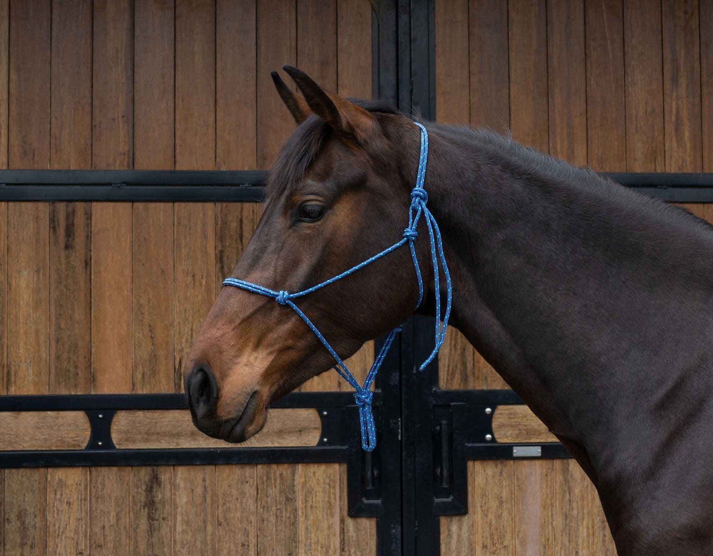 Caribu Yachting Rope Horse Halter 6mm