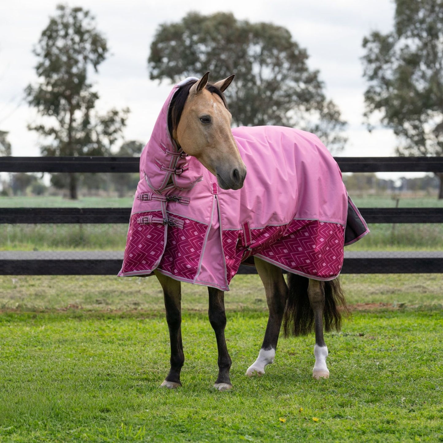 Caribu Alpine Combo Horse Rug 200g Rose Bloom