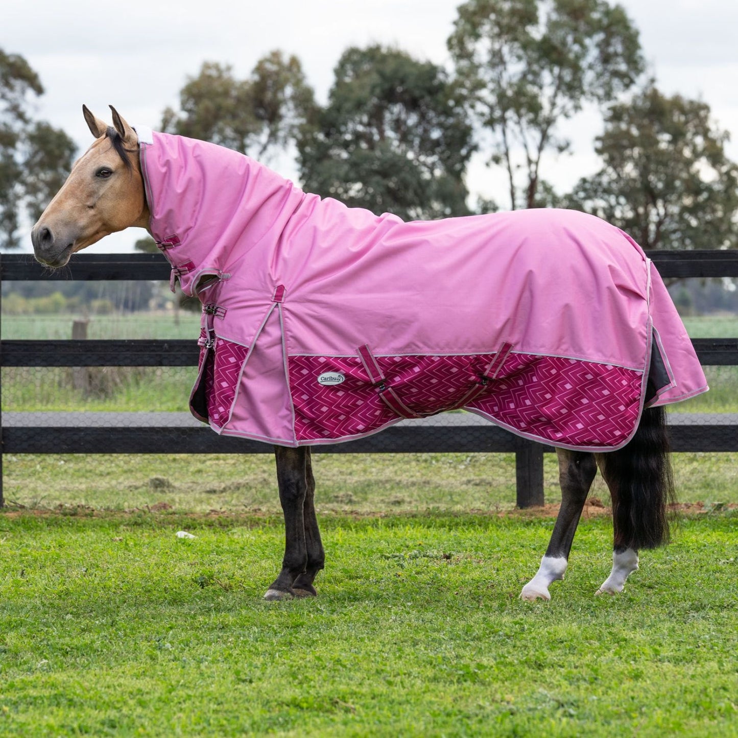 Caribu Alpine Combo Horse Rug 200g Rose Bloom
