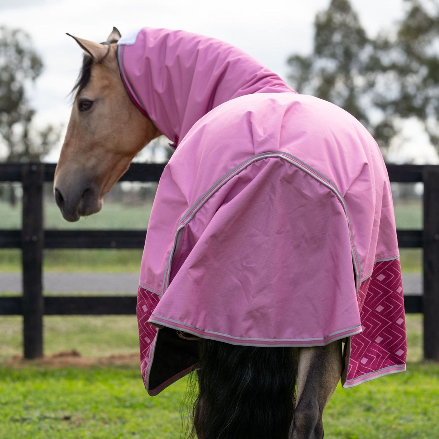 Caribu Alpine Combo Horse Rug 200g Rose Bloom