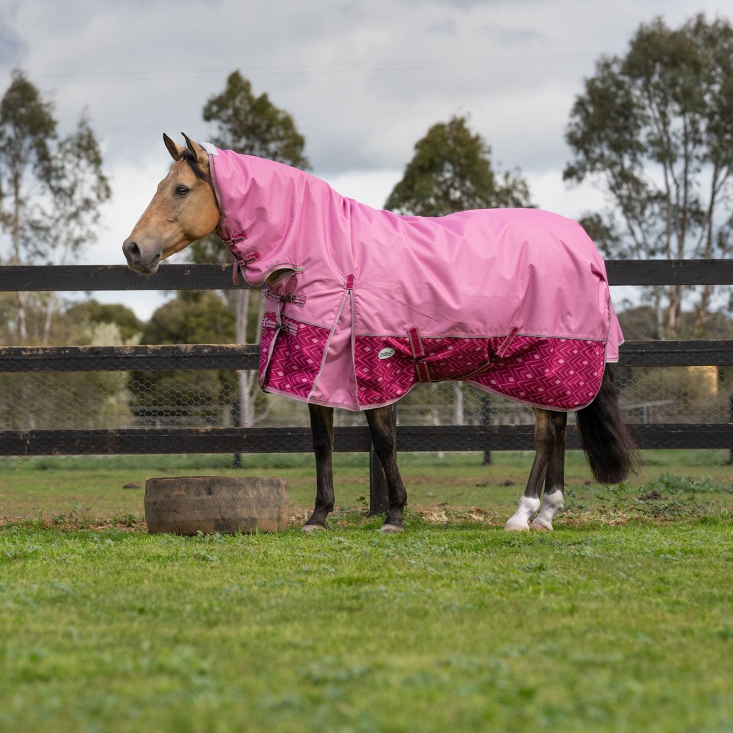 Caribu Alpine Combo Horse Rug 200g Rose Bloom