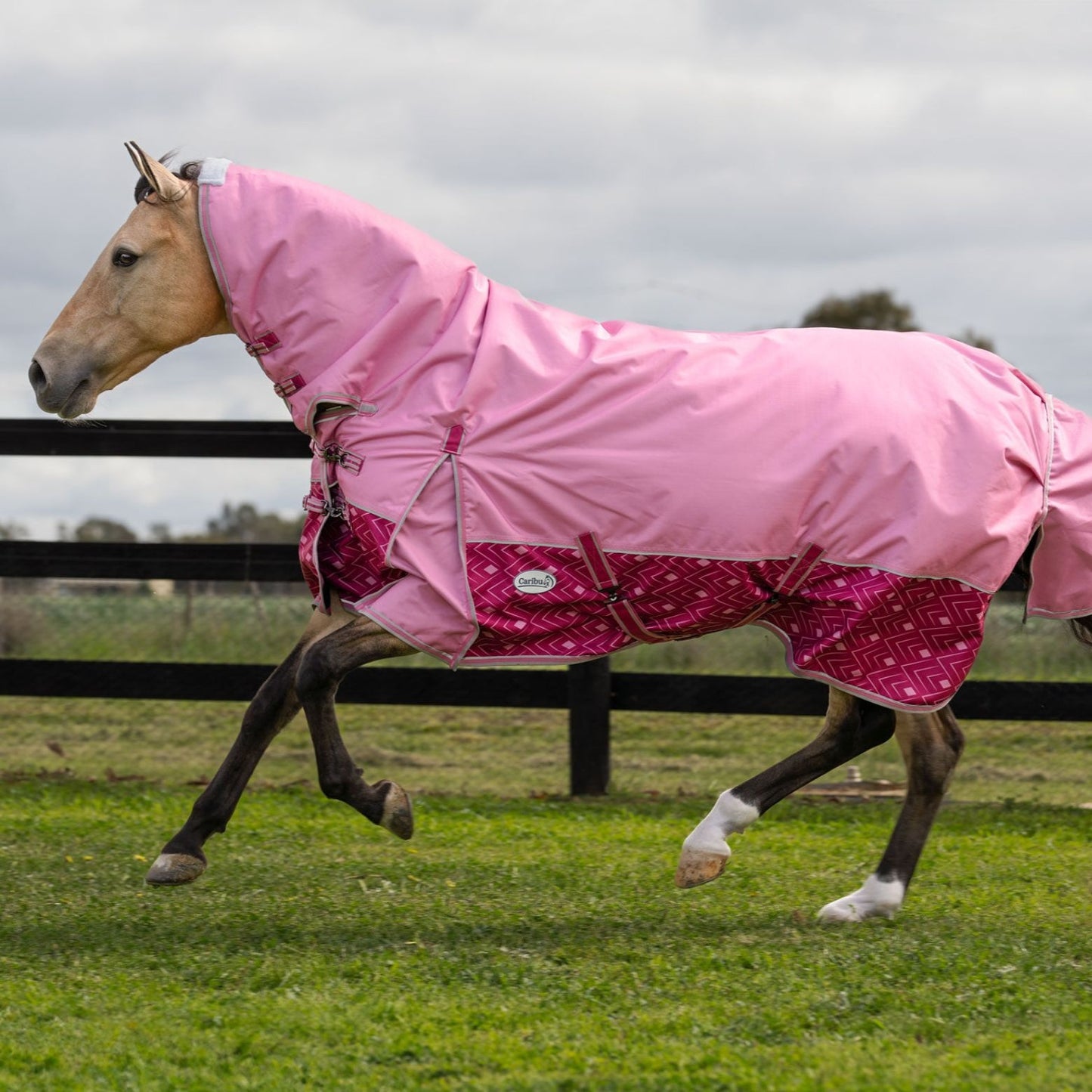 Caribu Alpine Combo Horse Rug 200g Rose Bloom