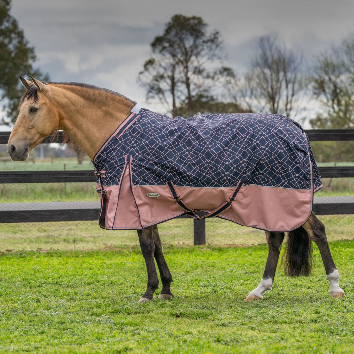 Caribu Alpine Detach-a-Neck Horse Rug 100g Rose Geo