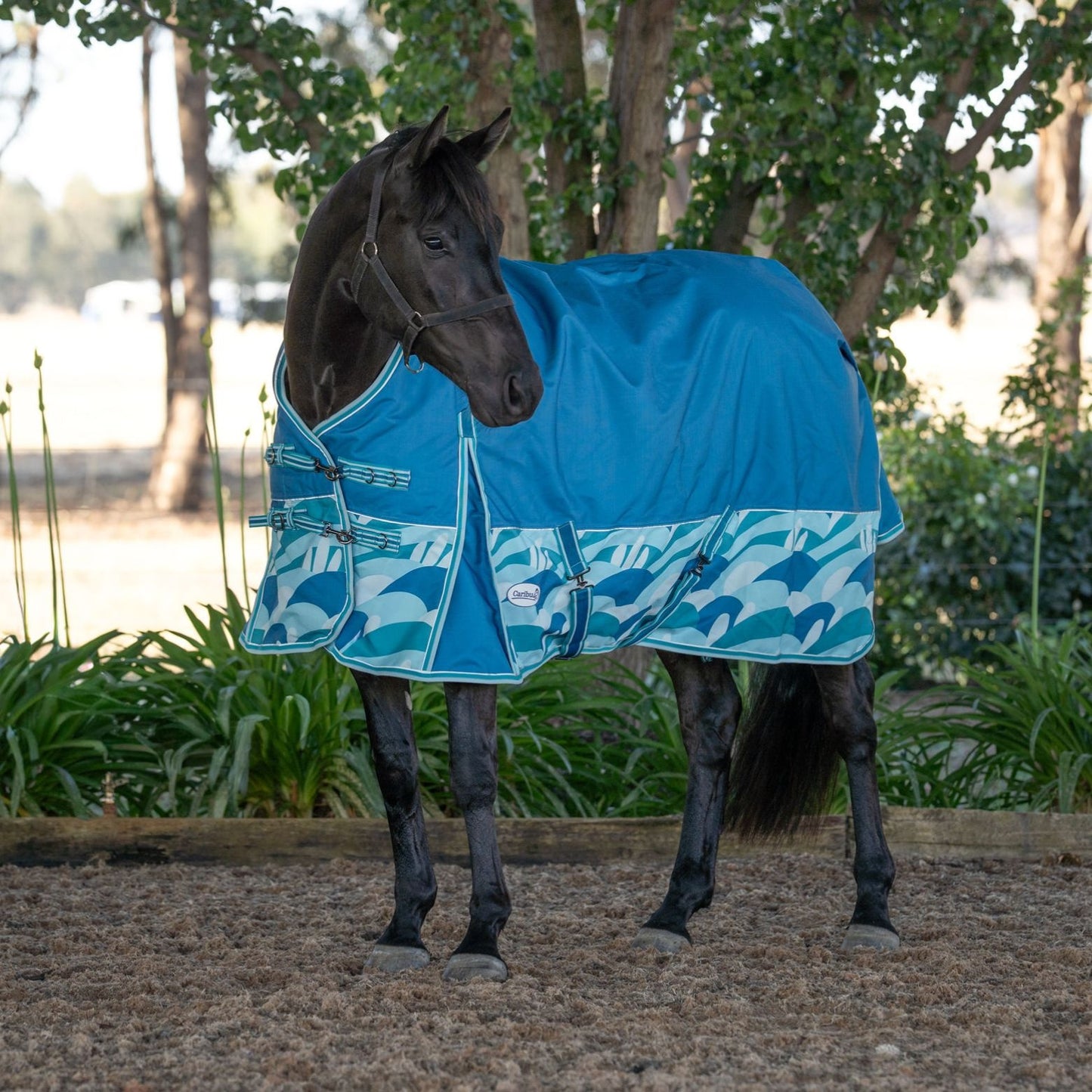 Caribu Alpine Scrunch Detach-a-Neck Horse Rug 100g Ocean Crest