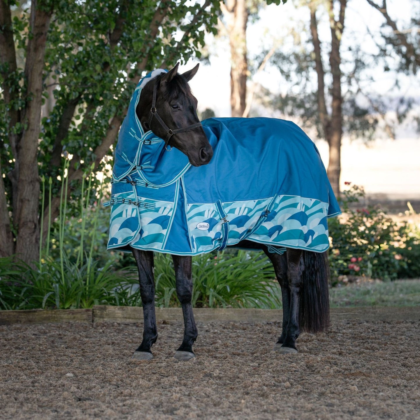 Caribu Alpine Scrunch Detach-a-Neck Horse Rug 100g Ocean Crest