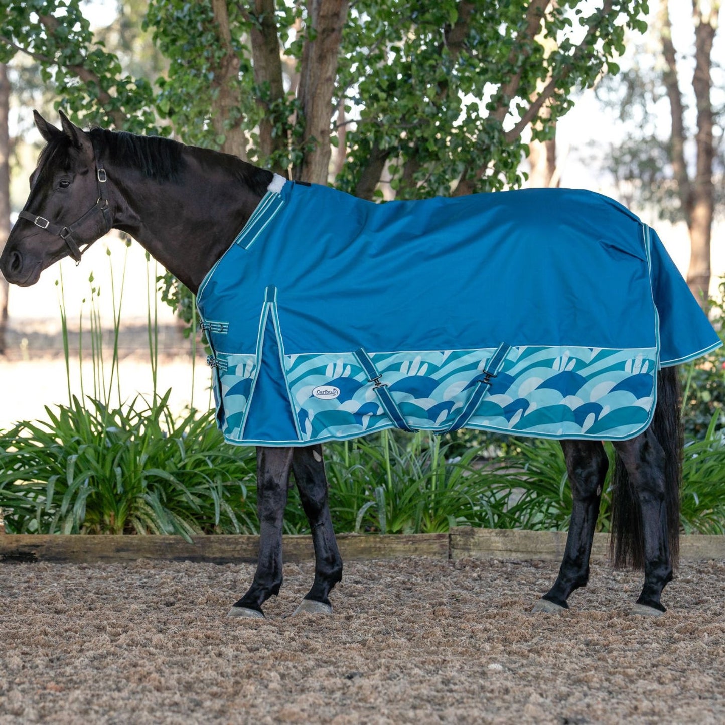 Caribu Alpine Scrunch Detach-a-Neck Horse Rug 100g Ocean Crest