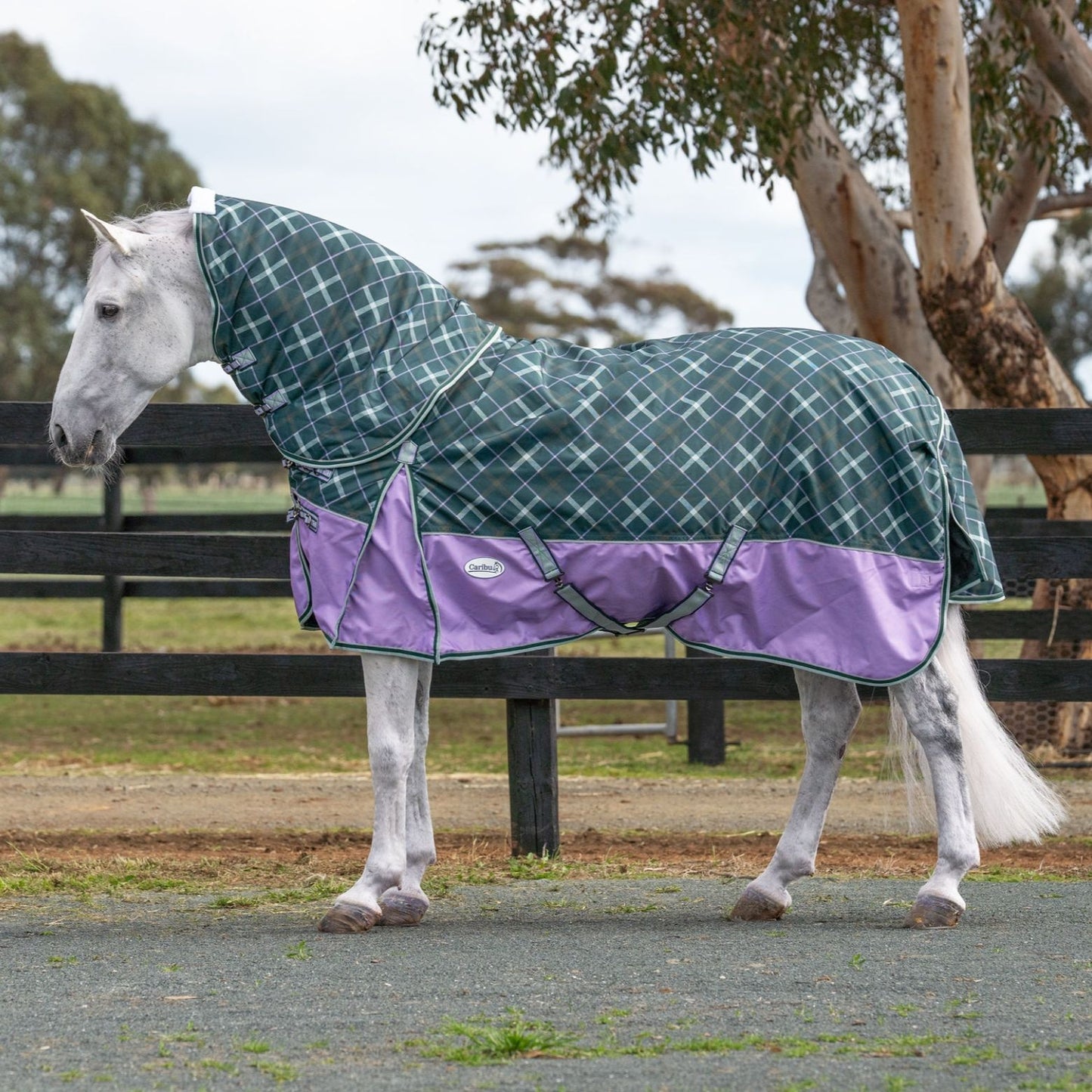Caribu Colorado Detach-a-Neck Horse Rug 250g Green/Lilac Tartan