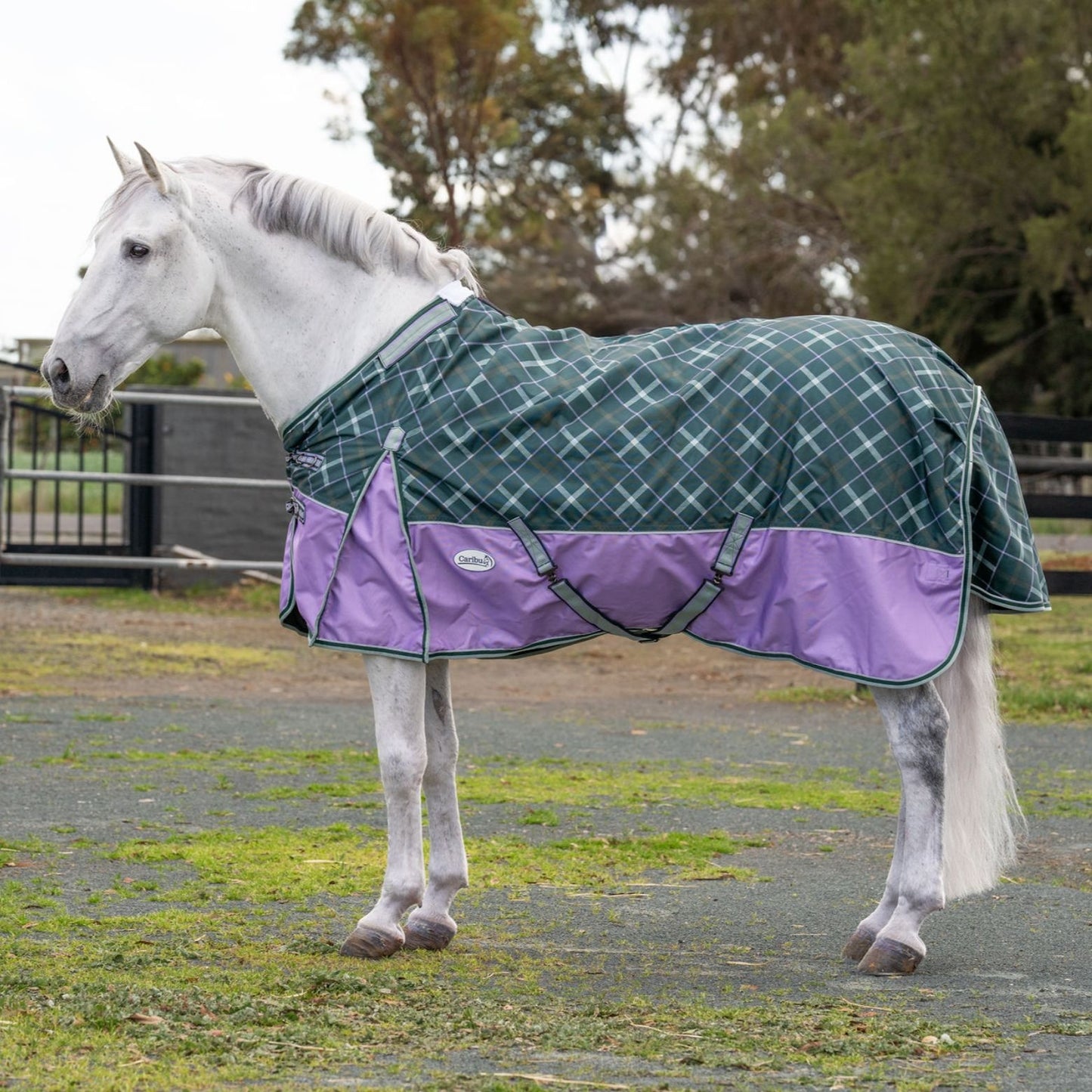 Caribu Colorado Detach-a-Neck Horse Rug 250g Green/Lilac Tartan